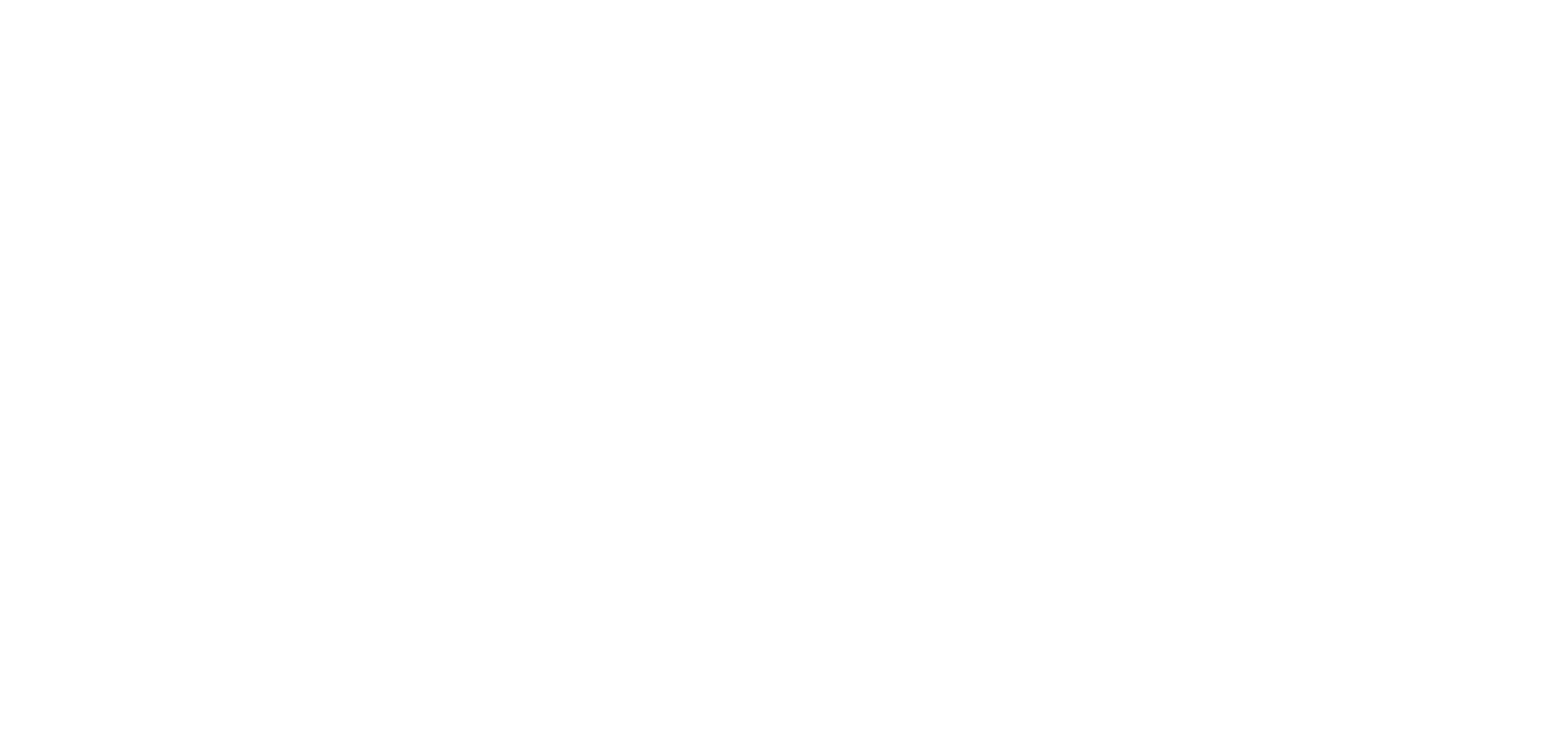 VIBI SpA Logo